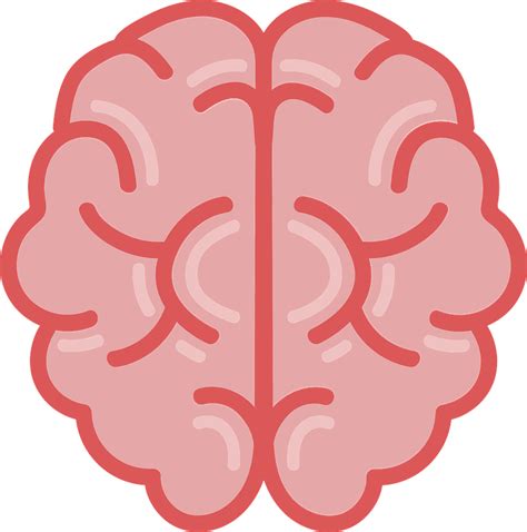 brain clip art transparent